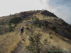 Jerry and Cheetah on the trail down to the border from Montezuma Pass