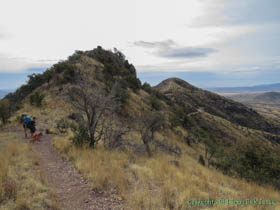 Jerry and Cheetah looking back towards Mexico.