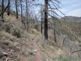 Part of Passage 1 goes through a recently burned area.  The fire that charred this area was the reason we had to cancel one of our attempts to do this passage.