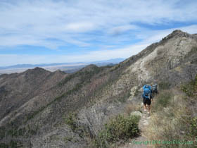 Cheetah and Jerry hiking Arizona Trail Passage 1.