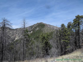 The high country of Arizona Trail Passage 01