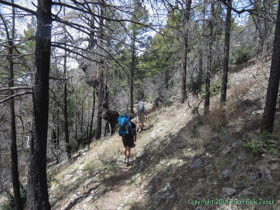 Hiking along the spine of the Huachuca Mountains.