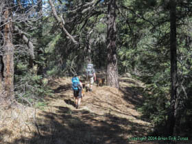 Cheetah and Jerry hiking along Arizona Trail Passage 1.