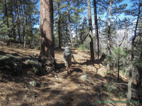 Jerry hiking along Arizona Trail Passage 1.