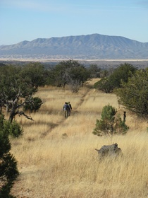 Jerry, Cheetah, Raquel and Shaun hiking AZT Passage 2.