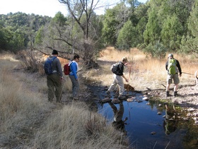 Shaun, Raquel, Cheetah and Jerry crossing a stream on AZT Passage 2.