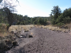 A wash on AZT Passage 2.