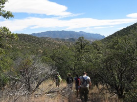 Jerry, Cheetah. Raqie; amd Shaun hiking on AZT Passage 2.