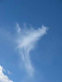 I took great interest in this little wisp of a cloud as it changed shape, contracted almost out of existence then back again.