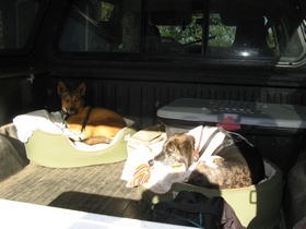 Kintla and Bessie crashing after finishing AZT Passage 2.