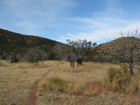 Near the beginning of AZT Passage 3.