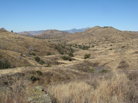 Neat drainage on AZT Passage 3.