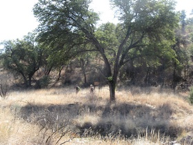 Jerry and Andrea hiking in Cott Tank Drainage on AZT Passage 3.