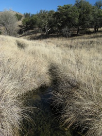 The Cott Tank Exclosure on a side trip from AZT Passage 3.