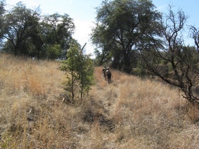 Jerry and Andrea hiking in the Cott Tank Exclosure on a side trip from AZT Passage 3.