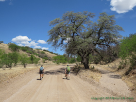 Cheetah and Jerry hiking up the road/trail.