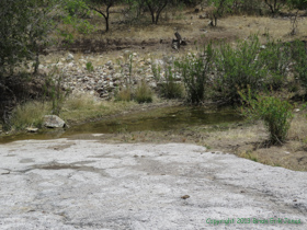 Water at a stream crossing on Passage 4.