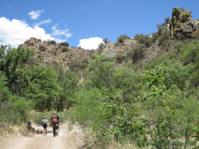 Cheetah and Shaun hiking along AZT Passage 4.