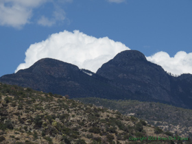 An interstingly wooded hillside on Arizona Trail Passage 4.