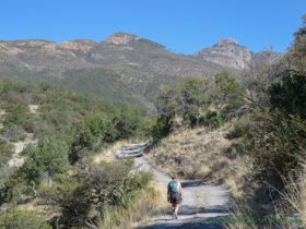 Cheetah hiking along AZT Passage 4.