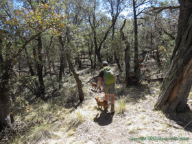 Jerry hiking along AZT Passage 4.