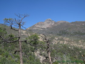 View along Arizona Trail Passage 4.