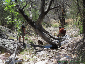 Jerry and Shaun at the creek near Bear Spring.