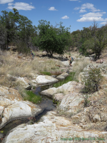 Jerry and Cheetah cross a small stream along AZT Passage 4.