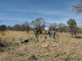Jerry, Cheetah and Raquel hiking on AZT Passage 5.