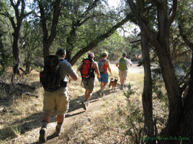 Shaun, Raquel, Cheetah and Jerry on Passage 6.
