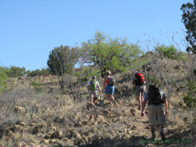 Jerry, Cheetah, Raquel and  Shaun on Passage 6.