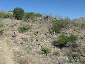 Shaun, Raquel, Cheetah and Jerry on Passage 6.