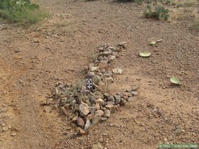 An AZT trial marker for midgets on Passage 7