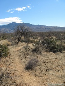 The first steps on our quest to hike the entire 800 mile Arizona Trail.  Passage 8