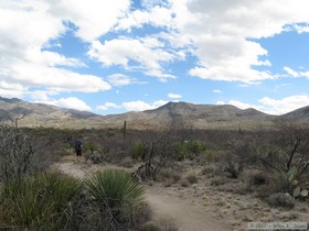 Trying to keep up with Cheetah while hiking the Arizona Trail, Passage 8