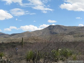Cheetah stretching her lead while hiking the Arizona Trail, Passage 8