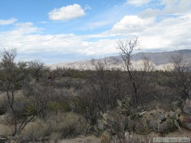 Hiking the Arizona Trail, Passage 8