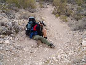 Brian shedding to keep cool.