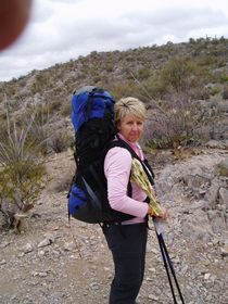 Cheetah enjoying the view from a saddle.