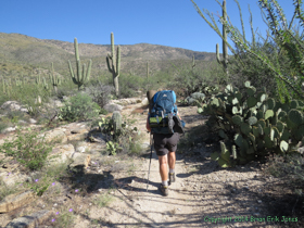 Cheetah hiking the beginning of Passage 9 on the Quilter Trail.