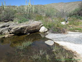 Jerry passing a beautiful stream.