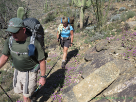 Jerry and Cheetah hiking through the beautiful desert foothills of the Rincon Mountains.