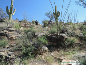 Climbing further up into the foothills of the Rincon Mountains.