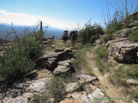 Climbing further up into the foothills of the Rincon Mountains.