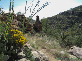 Arizona Trail Passage 9.