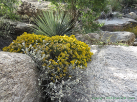 Arizona Trail Passage 9.