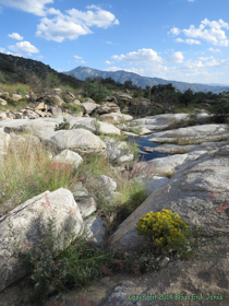 Another place where bedrock has forced water to the surface.