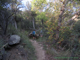 Approaching Grass Shack Camground on Arizona Trail Passage 9.