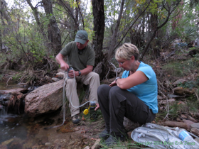 Jerry and Cheetah filtering water from Chimenea Creek at Grass Shack Campground.