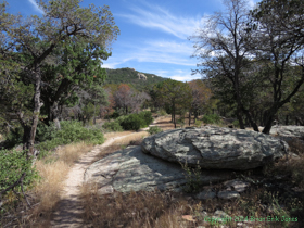 The National Park Service sure does know how to do trails well.